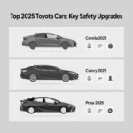 Comparison of Toyota Corolla, Camry, and Prius 2025 with safety features