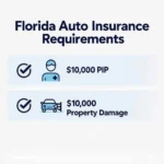 showing personal injury protection and property damage liability requirements for vehicle owners